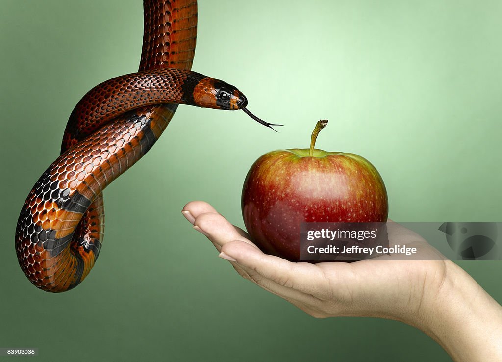 Female had holding apple with snake