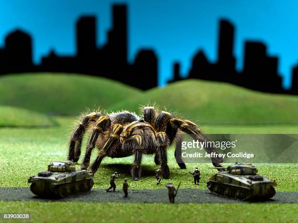 tarantula attacking toy soldiers - animal cruelty fotografías e imágenes de stock