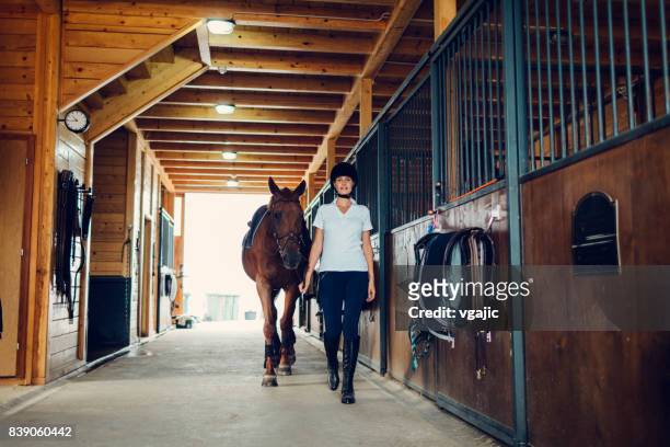 woman in a barn with her horse - equestrian event stock pictures, royalty-free photos & images