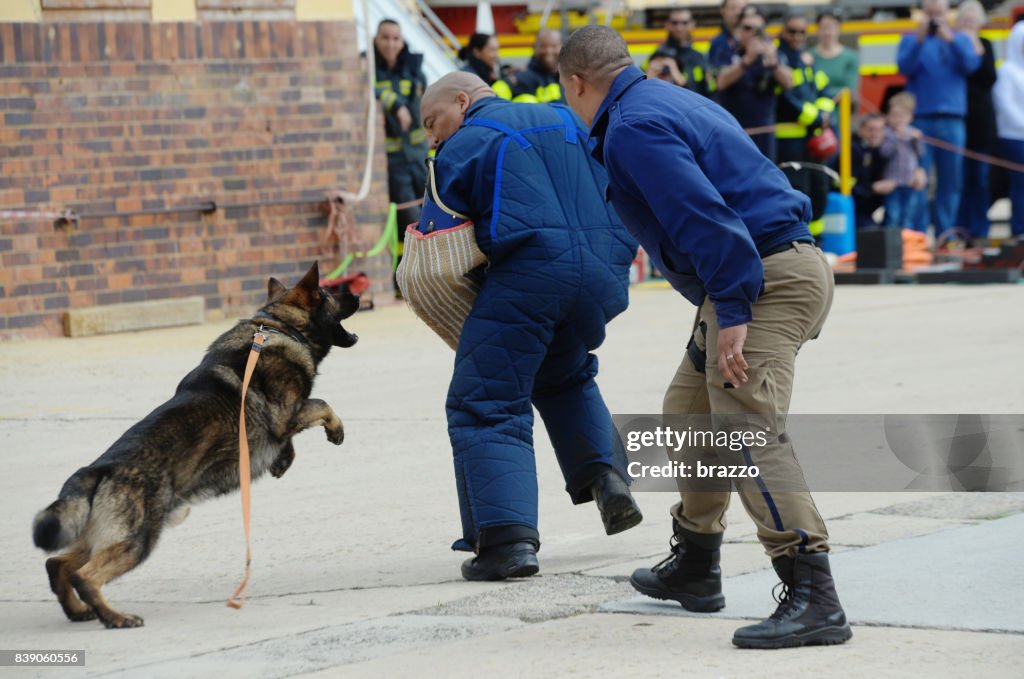 Police dog unit training