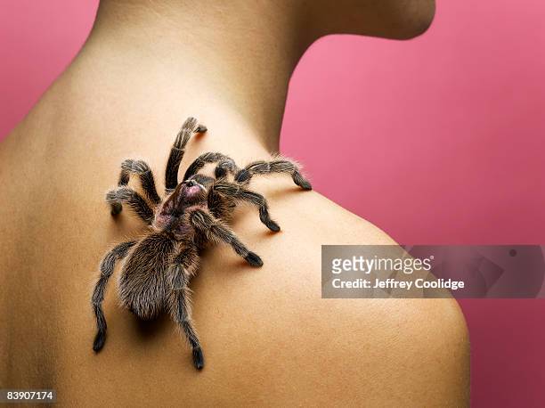 tarantula climbing on woman's shoulder - theraphosa blondi stock pictures, royalty-free photos & images