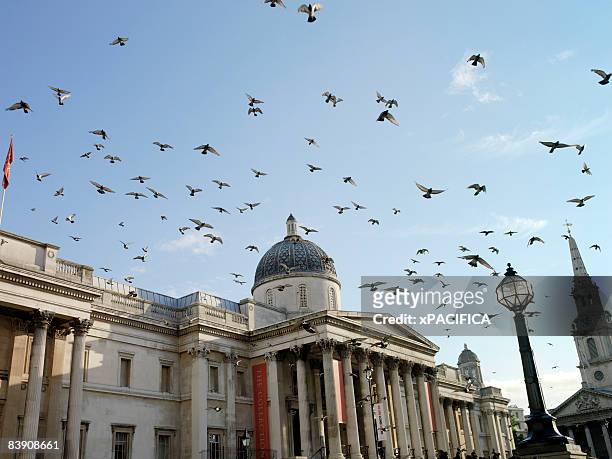 the national gallery in london, england. - national gallery london - fotografias e filmes do acervo