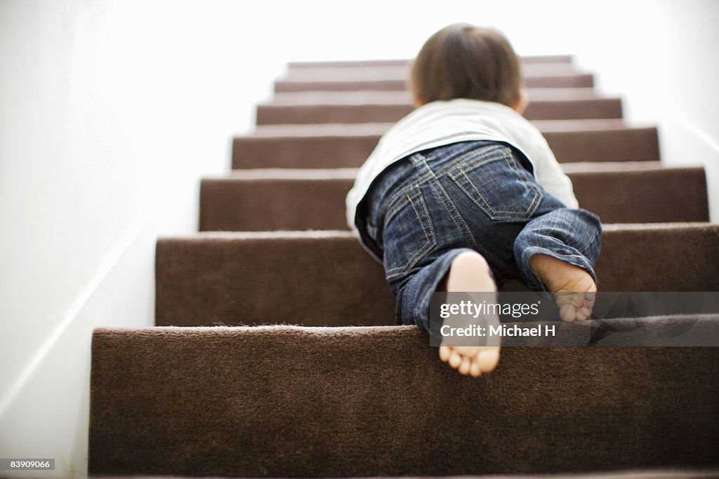 Baby mounts the stairs by crawling