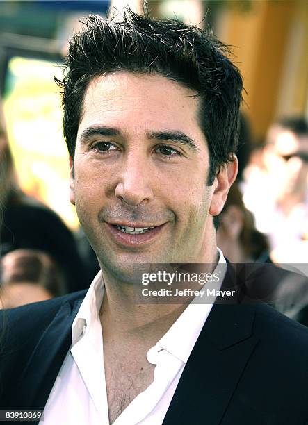 David Schwimmer arrives at the premiere of Dreamworks' "Madagascar: Escape 2 Africa" at the Mann Village Theatre on October 26, 2008 in Westwood,...