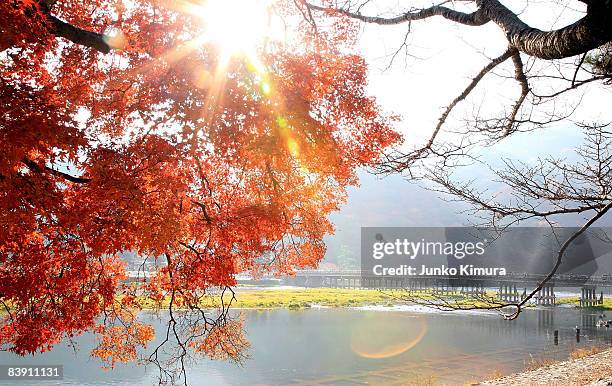 Togetsukyo Bridge is seen behind the autumn leaves along Katsura River in Arashiyama area on December 4, 2008 in Kyoto, Japan.