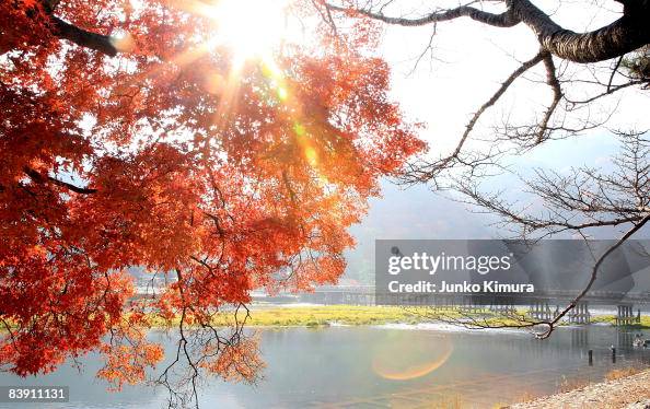 People Enjoy Autumnal Colours In Kyoto People Enjoy Autumnal Colours In Kyoto