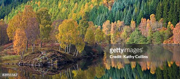 autumn reflections, loch tummel, perthshire - loch tummel stock pictures, royalty-free photos & images