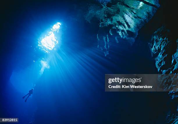 diver suspended, sunbeams, large sea cave, tonga - westerskov stock pictures, royalty-free photos & images