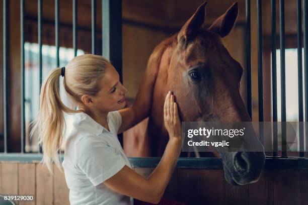 frau in einer scheune mit ihrem pferd - horse sports stock-fotos und bilder