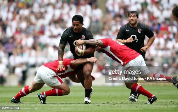 James Craig Rugby 350 James Craig Rugby Player Stock Photos, High-Res Pictures, and ...