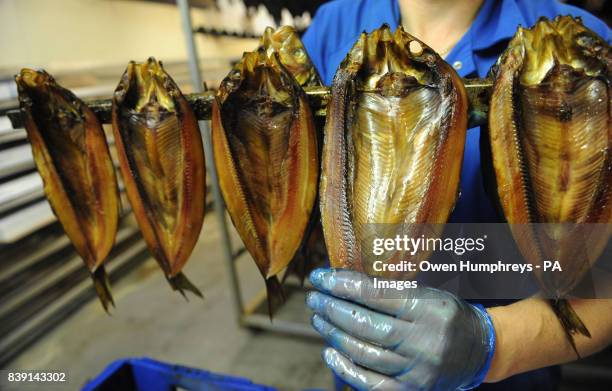Kippers after they have been removed from the smoke room at the world famous Crasters kippers factory L.Robson and Sons Ltd in Northumberland.