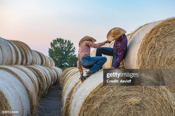 cowgirls und cowboys bruder und schwester spielen auf heuballen - enable horse stock-fotos und bilder