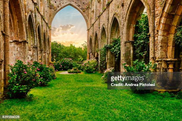 beauport abbey ruins, brittany, france - cotes d'armor bildbanksfoton och bilder