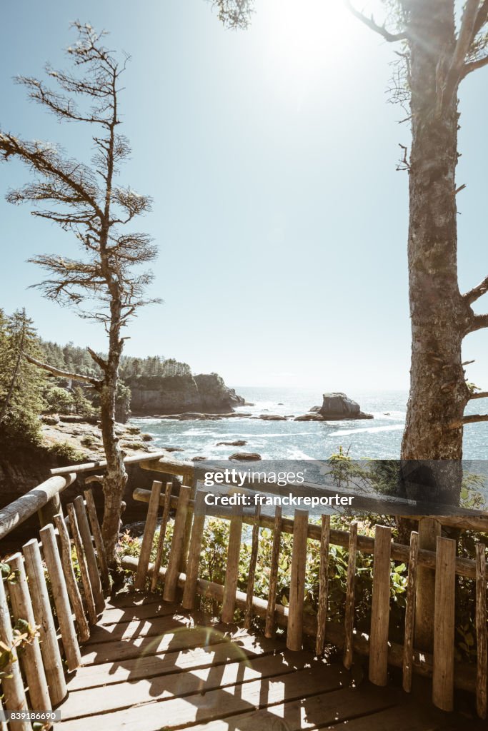 Cape flattery view in washington state