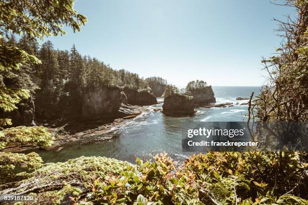 在華盛頓州海角奉承視圖 - cape flattery 個照片及圖片檔