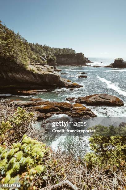 在華盛頓州海角奉承視圖 - cape flattery 個照片及圖片檔