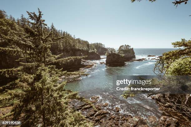 在華盛頓州海角奉承視圖 - cape flattery 個照片及圖片檔