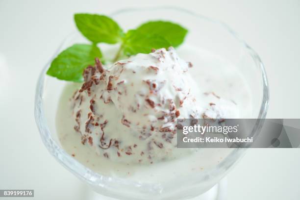mint chocolate chip ice cream - chocolate chip ice cream stock pictures, royalty-free photos & images