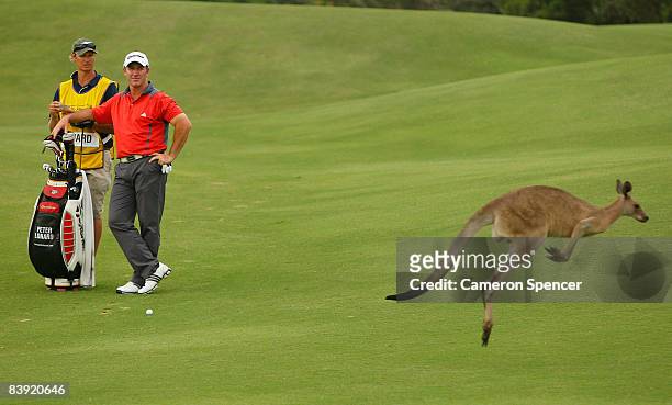 Peter Lonard of Australia watches a kangaroo jump past during day two of the Australian PGA Championship at the Hyatt Regency Resort on December 5,...
