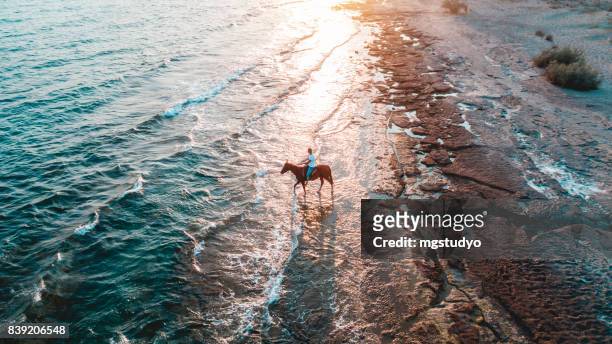 man riding on horse on the beach over sunset - horse running water stock pictures, royalty-free photos & images