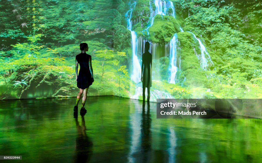 Girl looking at a large scale nature image projected on to a wall