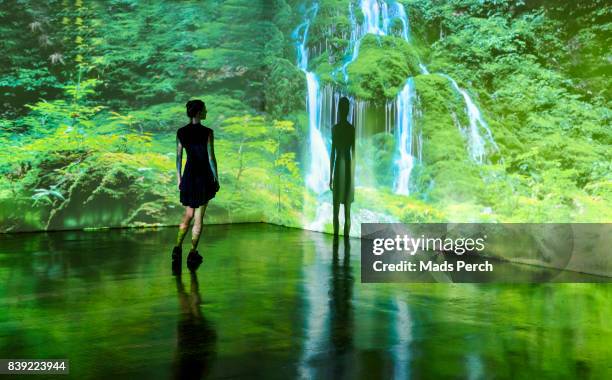 girl looking at a large scale nature image projected on to a wall - wall art stock pictures, royalty-free photos & images