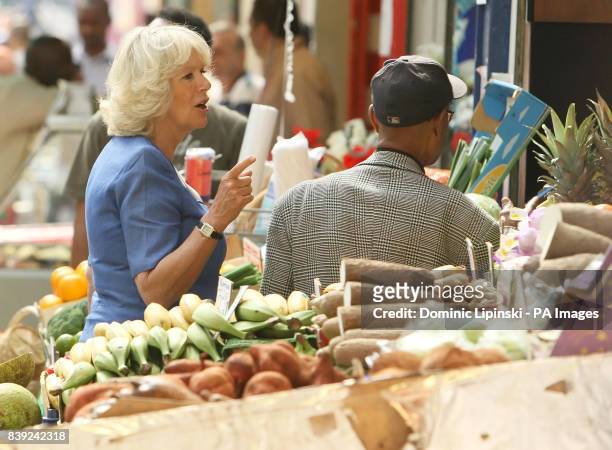 The Duchess of Cornwall speaks to members of the public at a market stall during a visit to Brixton Market, in Brixton, south London. The Prince of...