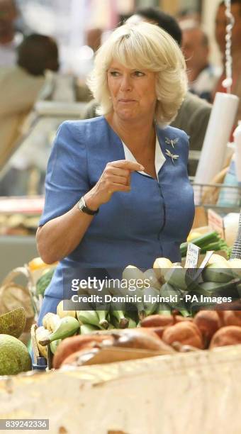 The Duchess of Cornwall at a market stall during a visit to Brixton Market, in Brixton, south London. The Prince of Wales and the Duchess are...