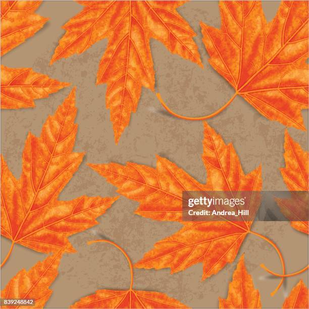maple leaf seamless vector pattern for autumn - maple tree canada stock illustrations