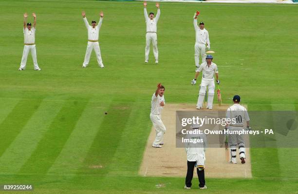 Durham's Liam Plunkett appeals for the wicket of Yorkshire's Richard Pyrah during the LV County Championship, Division One match at the Riverside,...