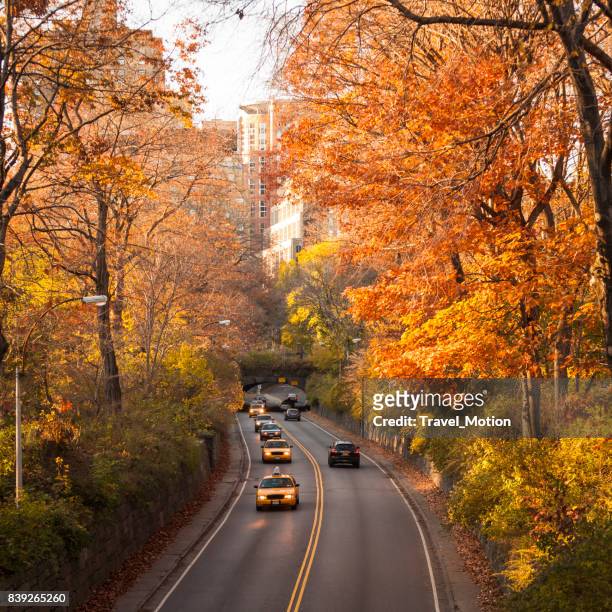strada con taxi gialli a central park, manhattan, new york city - autumn in new york foto e immagini stock