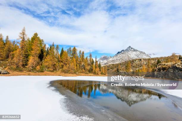 lake mufulè in autumn, malenco valley, italy - paesaggi 個照片及圖片檔