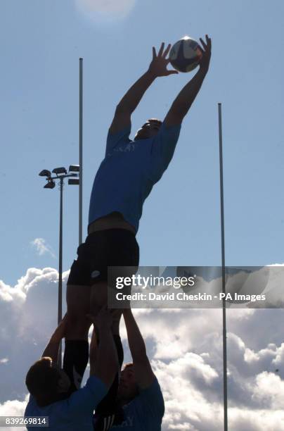 Scott Riddel 339 Scott Riddell Stock Photos, High-Res Pictures, and Images - Getty ...