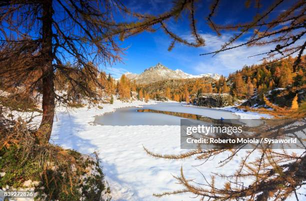 lake mufulè in autumn, malenco valley, italy - paesaggi 個照片及圖片檔