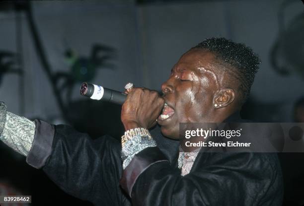 Singer Shabba Shabba (Song) Photos and Premium High Res Pictures - Getty Images
