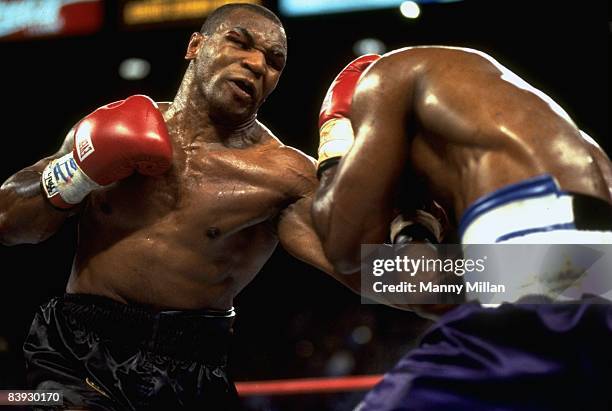 Holyfield Ripped 149 Box Holyfield Tyson Action Stock Photos, High-Res Pictures, and ...