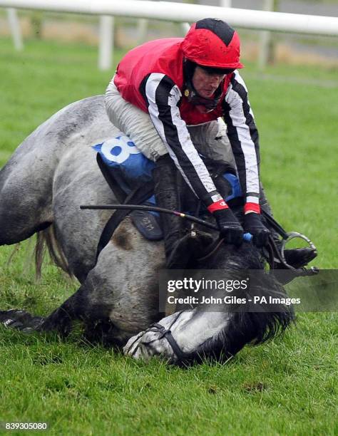 Lisbon Lion and Wilson Renwick slither out of the TurfTV Novices Hurdle Race at Catterick Racecourse.