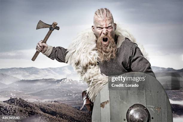 wapen zwaaien bloedige viking krijger in emotionele pose tegen gebergte - viking stockfoto's en -beelden
