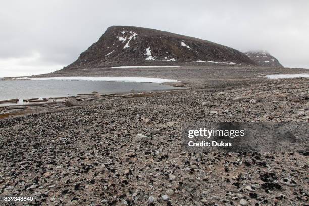 Spitsbergen, Svalbard, Phippsoya, polar, cold desert.