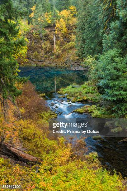 Oregon, Willamette National Forest, Blue Pool on the McKenzie River, Tamolitch Pool.