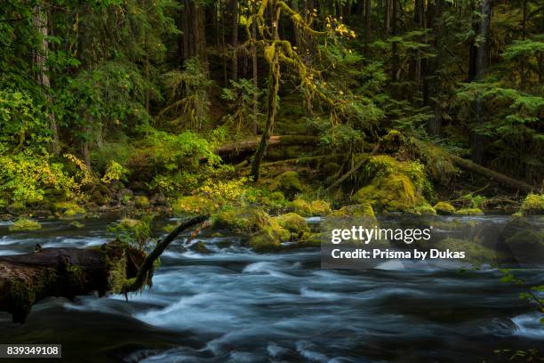 Oregon, Willamette National Forest, Blue Pool on the McKenzie River near Tamolitch Pool.