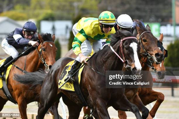 Damian Lane riding Pacodali defeats Ben Melham riding Almandin in Race 5 during Melbourne Racing at Moonee Valley Racecourse on August 26, 2017 in...