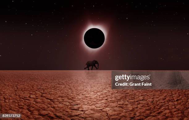 solar eclipse abstract composite. - eclipse foto e immagini stock