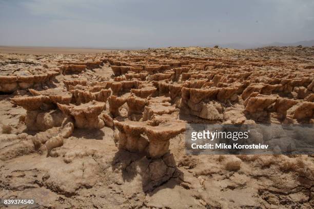 danakil depression, ethiopia - danakil desert stock pictures, royalty-free photos & images