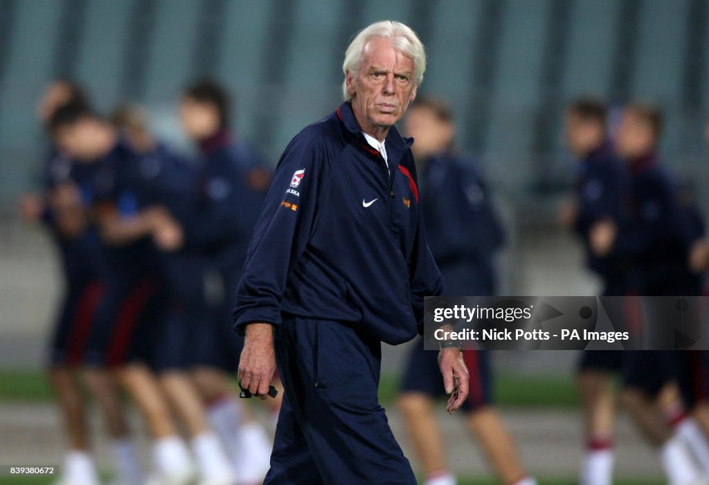 Soccer - FIFA World Cup 2010 - Qualifying Round - Group Three - Poland v Northern Ireland - Poland Training Session - Slaski Stadium