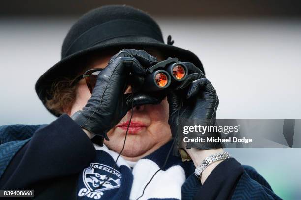 Cats fan looks on during the round 23 AFL match between the Geelong Cats and the Greater Western Sydney Giants at Simonds Stadium on August 26, 2017...