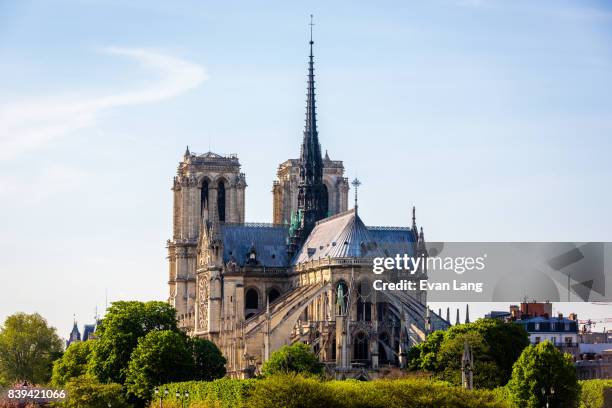 the notre dame de paris, france - kathedrale-von-notre-dame stock-fotos und bilder