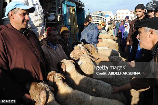 Herve GUILBAUD Sheep vendors talk to potential buyers on December 5, 2008 in Rabat ahead of Muslim religious holiday Aid el-Kebir. AFP PHOTO /...