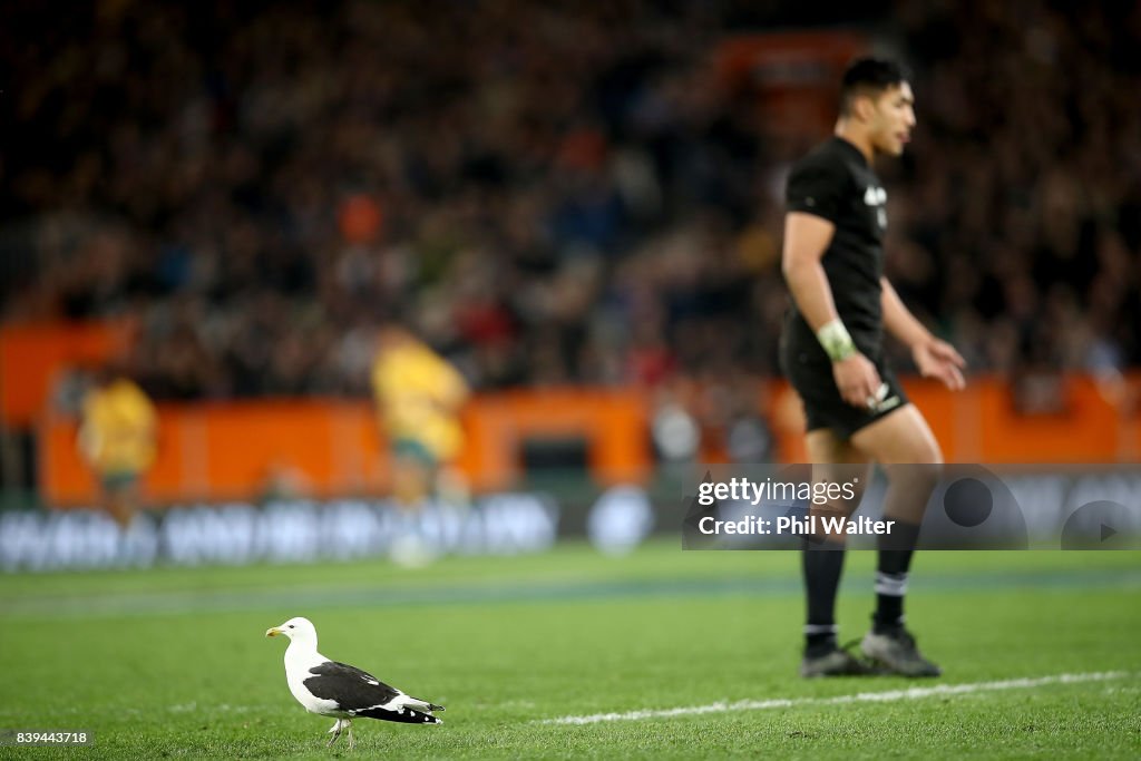 New Zealand v Australia - The Rugby Championship