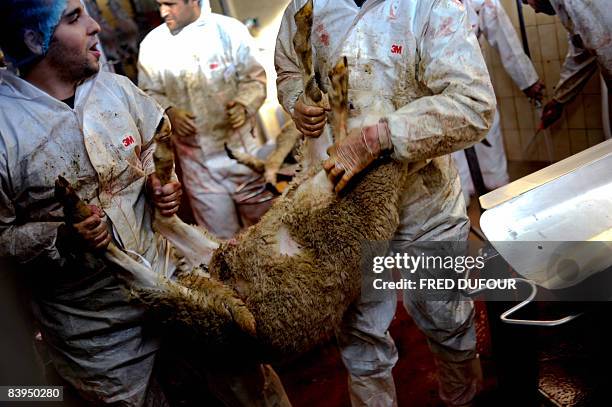 Men work at an automated sheep slaughter line on December 8, 2008 at a slaughter sheep in Hotonnes, southeastern France during the Aid-el-Kebir sheep...